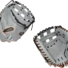 Rawlings Heart Of The Hide PROCM33FP-24G Fastpitch Catchers Mitt - 33"